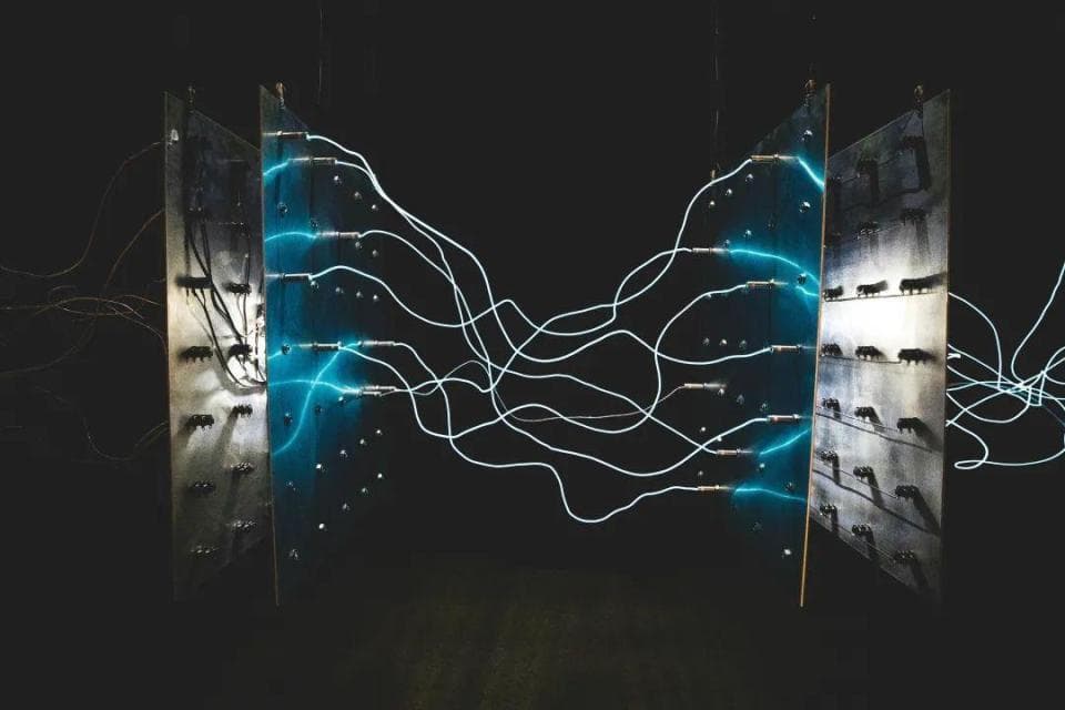 科学家用电刺激强制人微笑，却发现他们更开心了