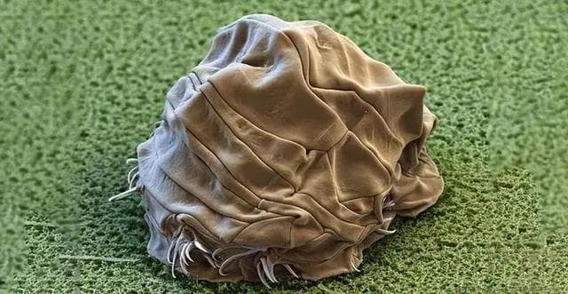 见证历史！核威慑很可怕，突破它也不是没办法