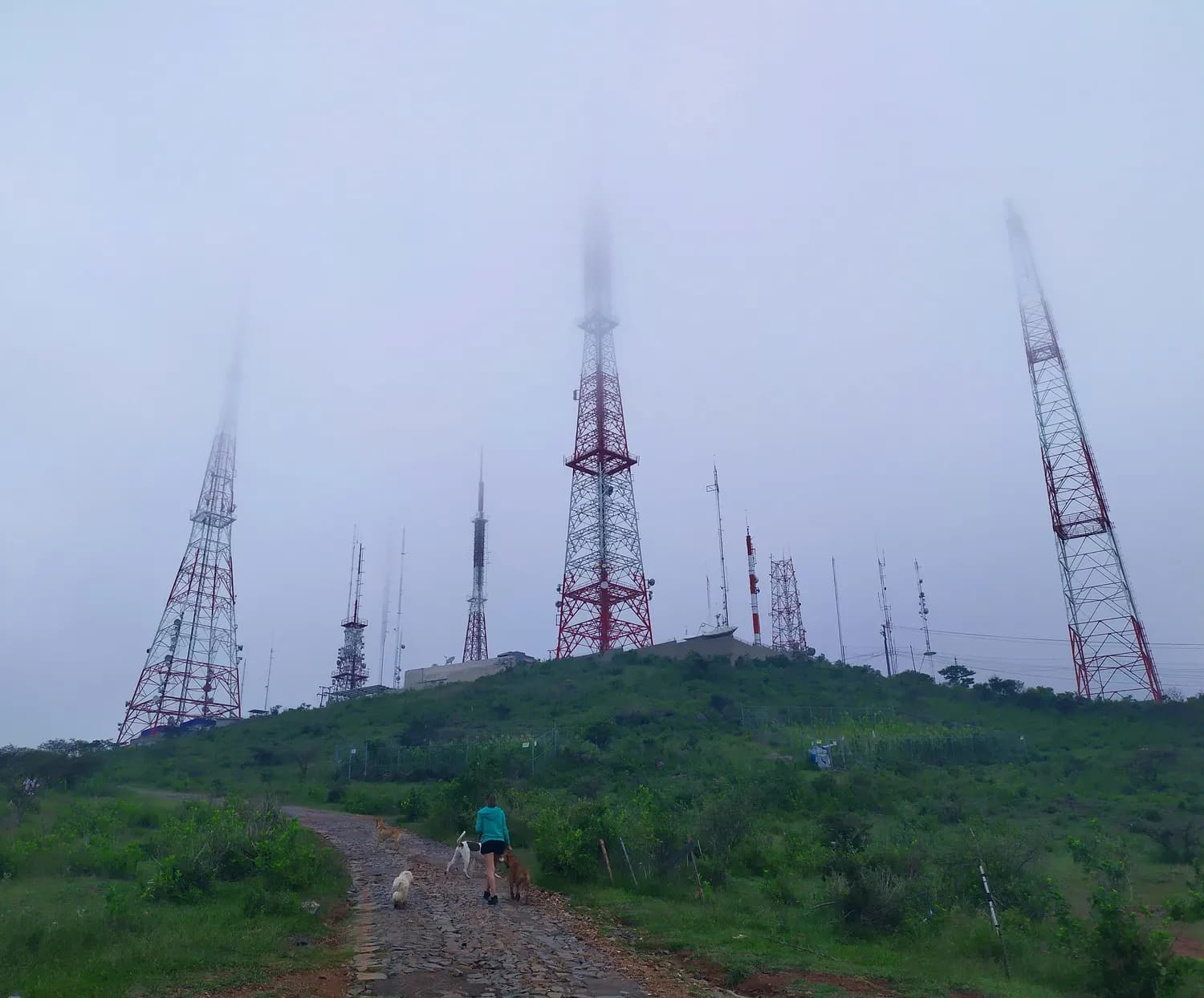 西双版纳暴雨来袭！移动网络如何应对？