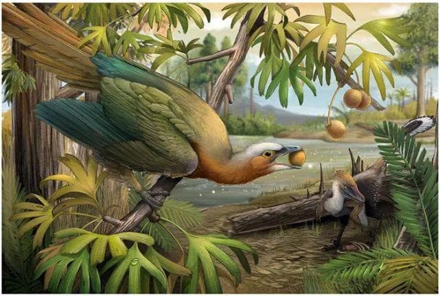 研究发现：饮食习惯转变助鸟类躲过6500万年前大灭绝