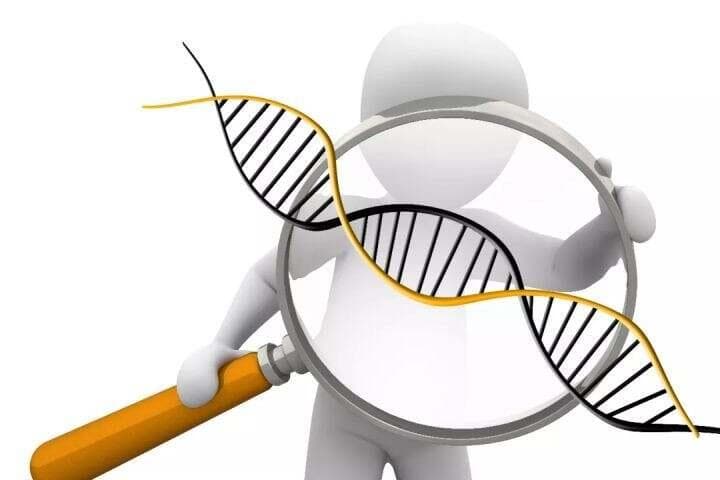 亲子鉴定的准确性：DNA检测的科学依据与误差范围