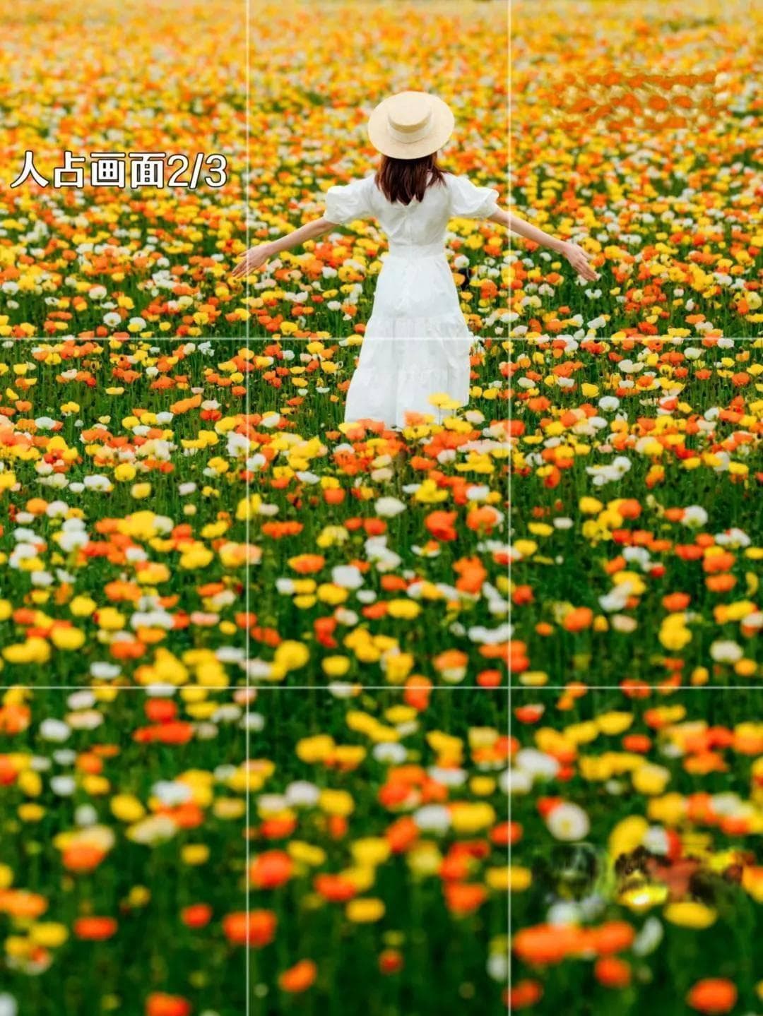 15个花海拍照姿势，浪漫又自由，轻松拍出绝美大片！