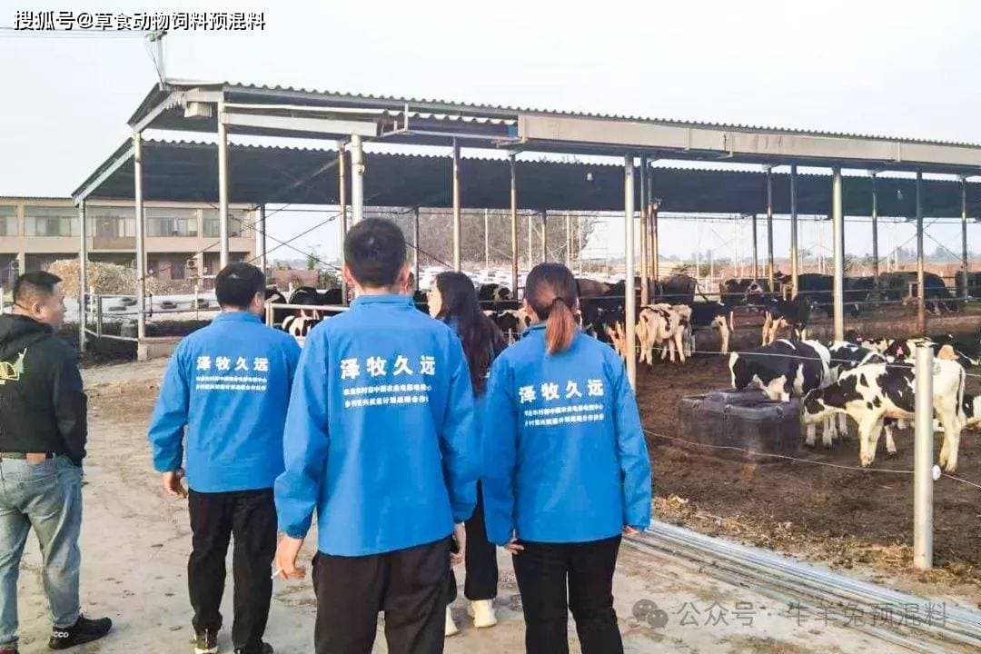 牛羊春季驱虫必看：母畜、幼畜、育肥期驱虫方案揭秘！