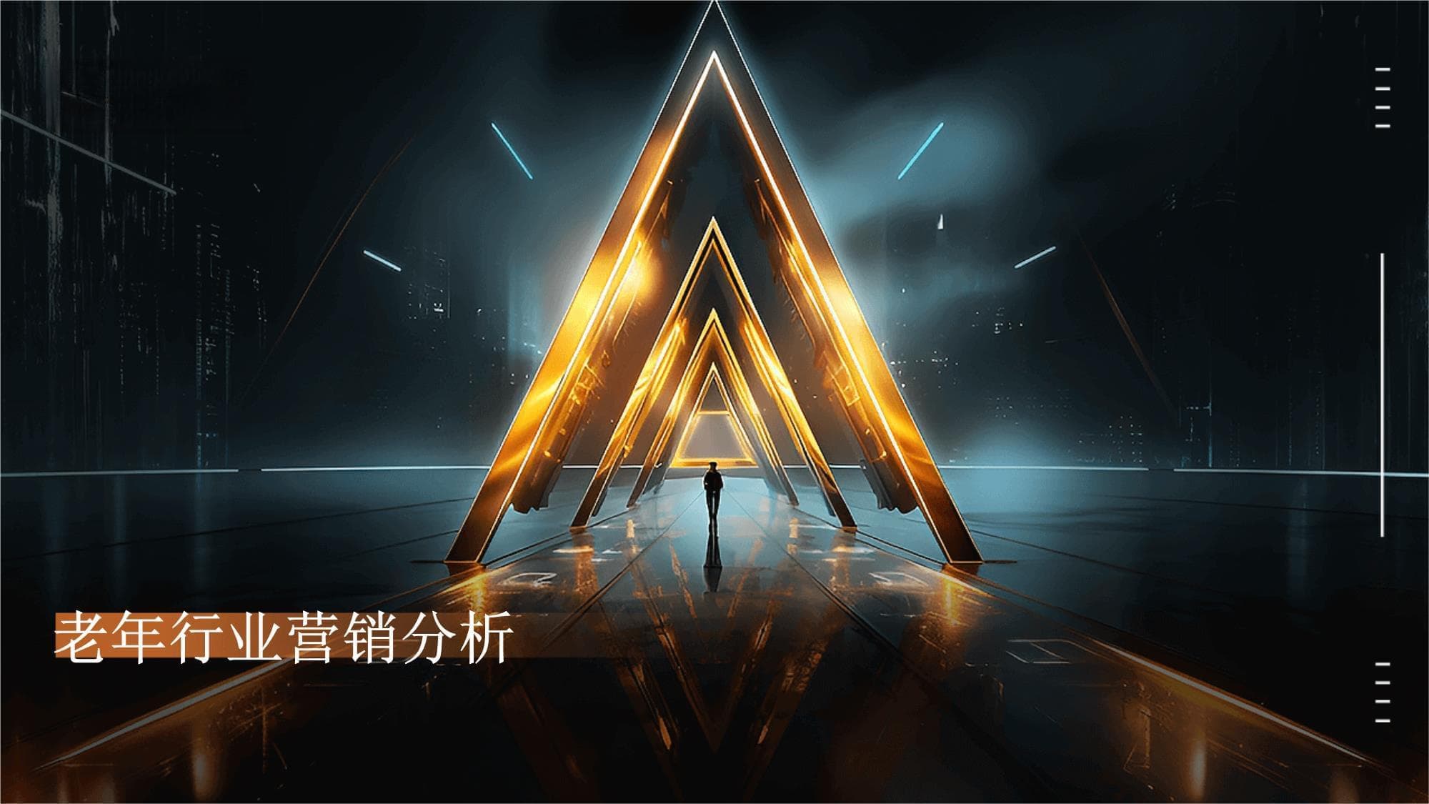 老年行业营销分析