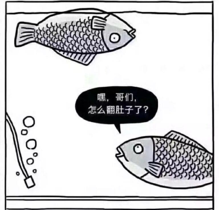 金鱼肚子朝上怎么办（金鱼失鳔原因及治疗方法）