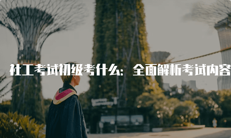 社工考试初级考什么：全面解析考试内容与要求