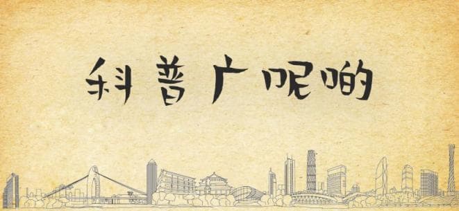 “食在广州”：一座城市的饮食文化传奇