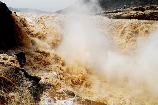 北京疾控提醒：高温多雨蚊虫密度升高，清理幼虫孳生地很重要