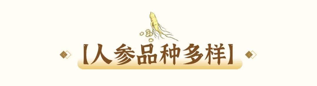 野山参还是红参？适合自己的才是最好的参