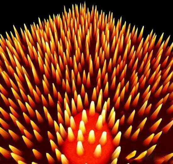 微观世界的能量量子化：自然界的基本特性