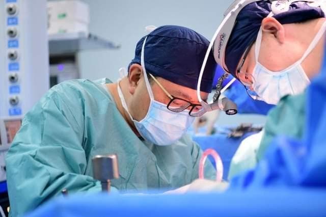 胰腺癌手术关键技术、肺癌精准诊疗模式……上海市科学技术奖公布