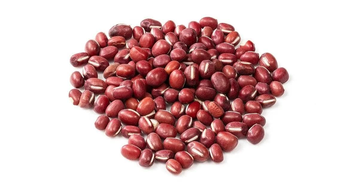 豆类品种大全：从A到Z的29种豆类（附图片）