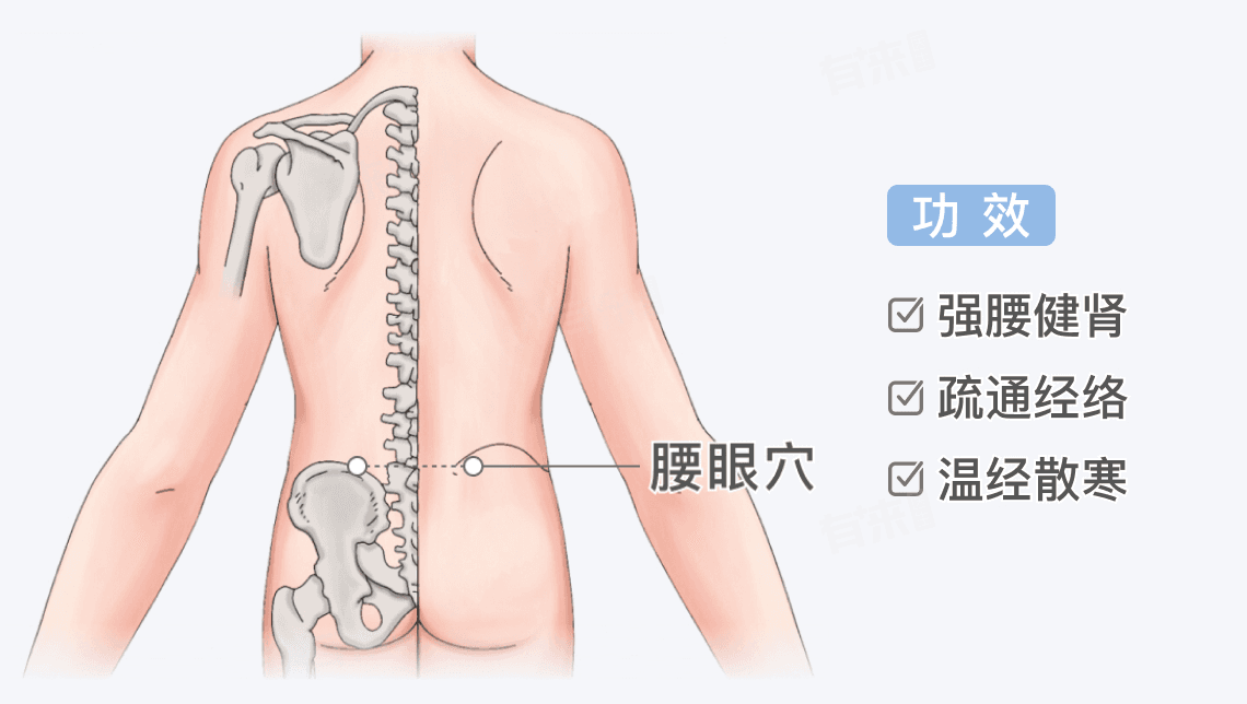 腰眼穴的准确位置及功效作用