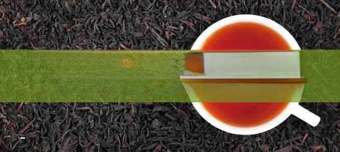 茶叶保存指南：五大要素决定茶叶品质
