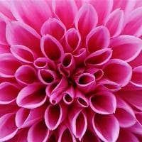 简体字和繁体字的区别是什么