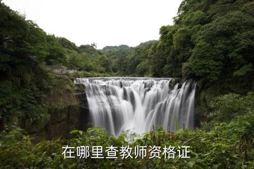 教师资格证查询攻略：两种官方渠道及注意事项详解