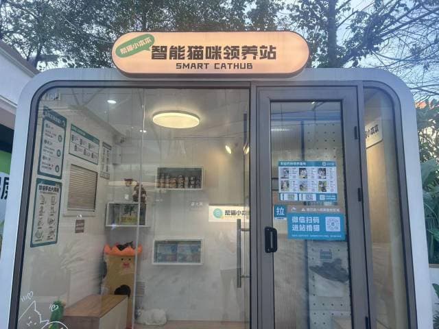 体验深圳首个智能猫咪领养站！扫码撸猫，还可0元领养