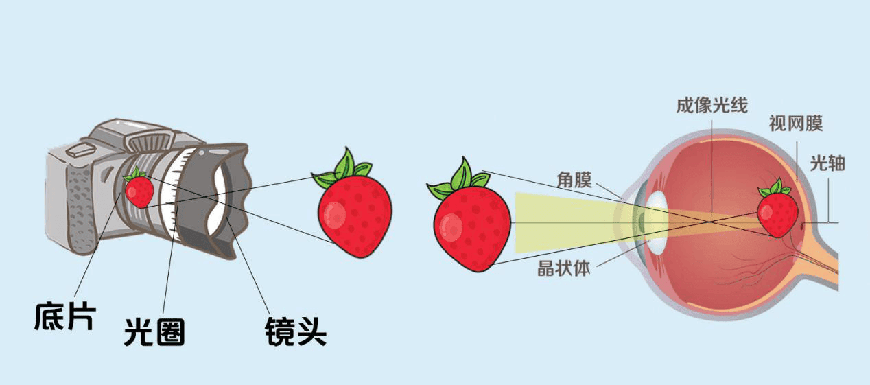 孩子的双眼视功能这么重要？四个问题带你了解！