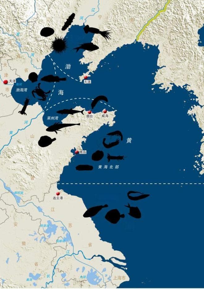 四大海鲜流派比拼 为何渤海派最受吃货追捧？