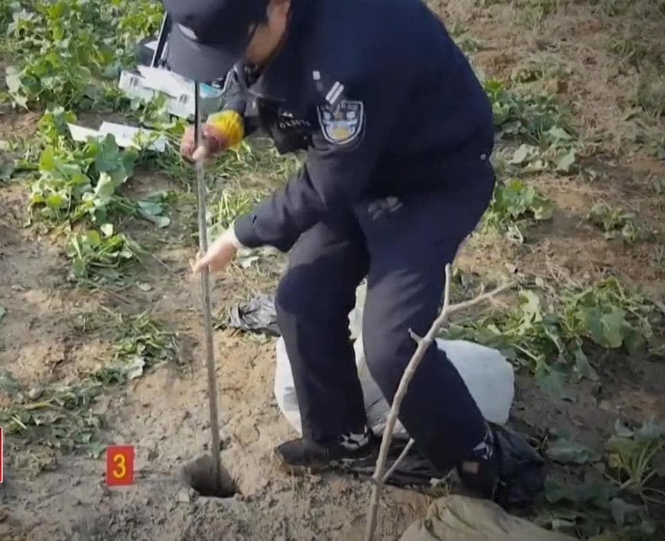 考古专家：盗墓贼只是在破坏，两者根本不在一个层面