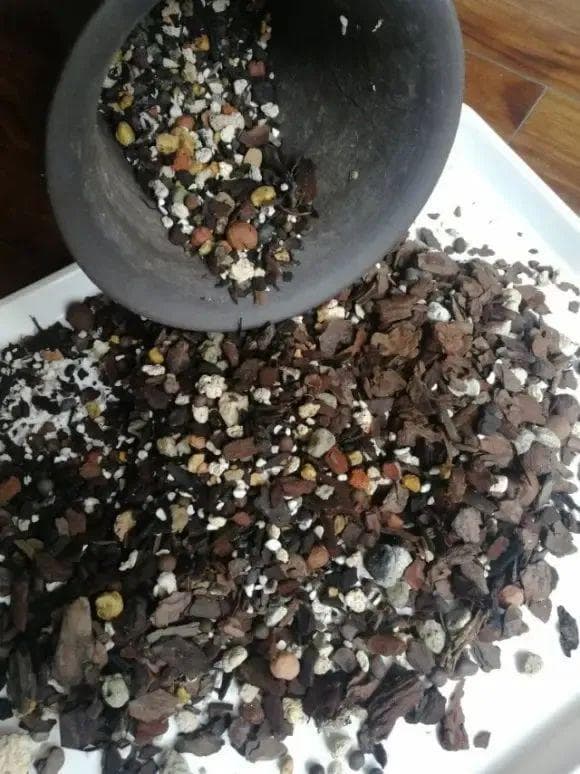 松树皮适合兰花，水苔适合蝴蝶兰：植料选择指南