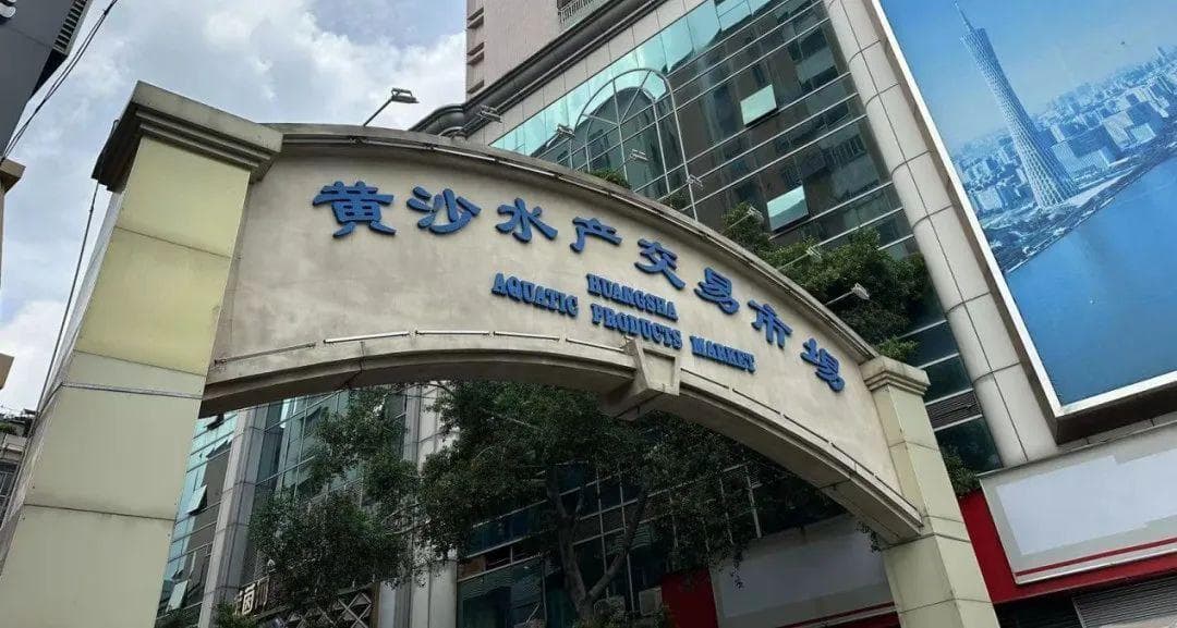 开渔后海鲜市场探访：部分活鲜价格下降，贵妃蚌成新宠