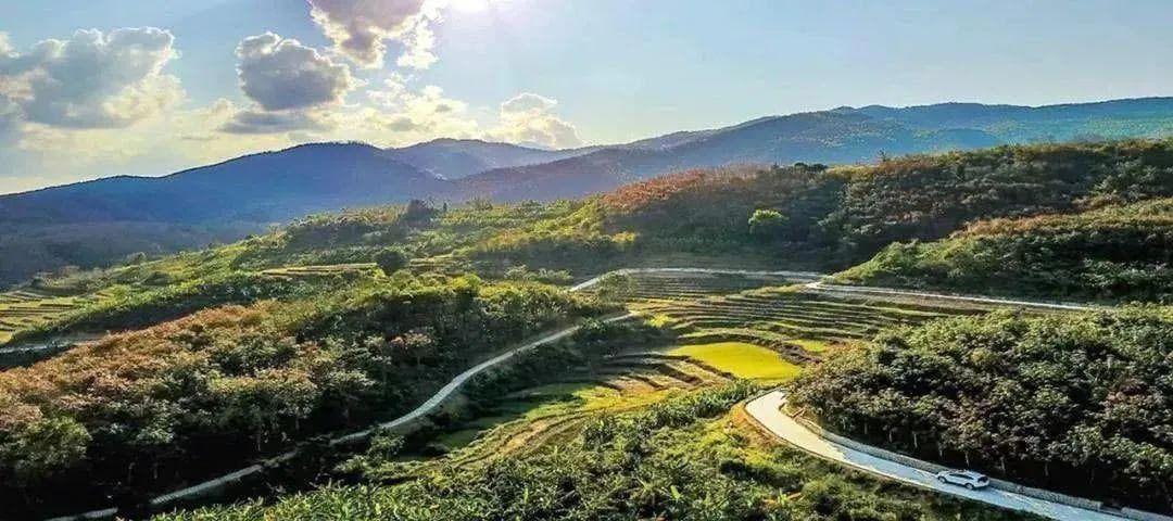 高速公路上也有斑马线？这些公路"冷知识"你知道吗