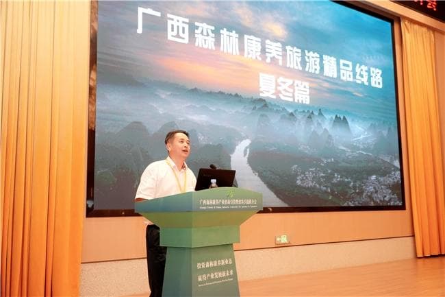 广西发布12条森林康养旅游精品线路