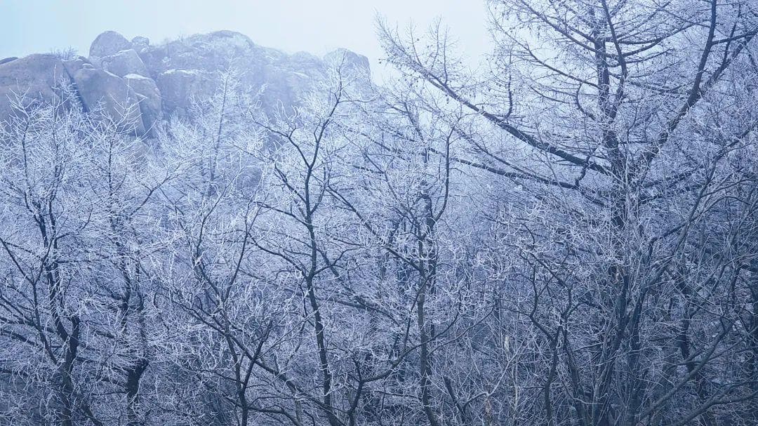 崂山下雪啦！绝美雾凇观赏地图上线，带你领略冰雪奇景！