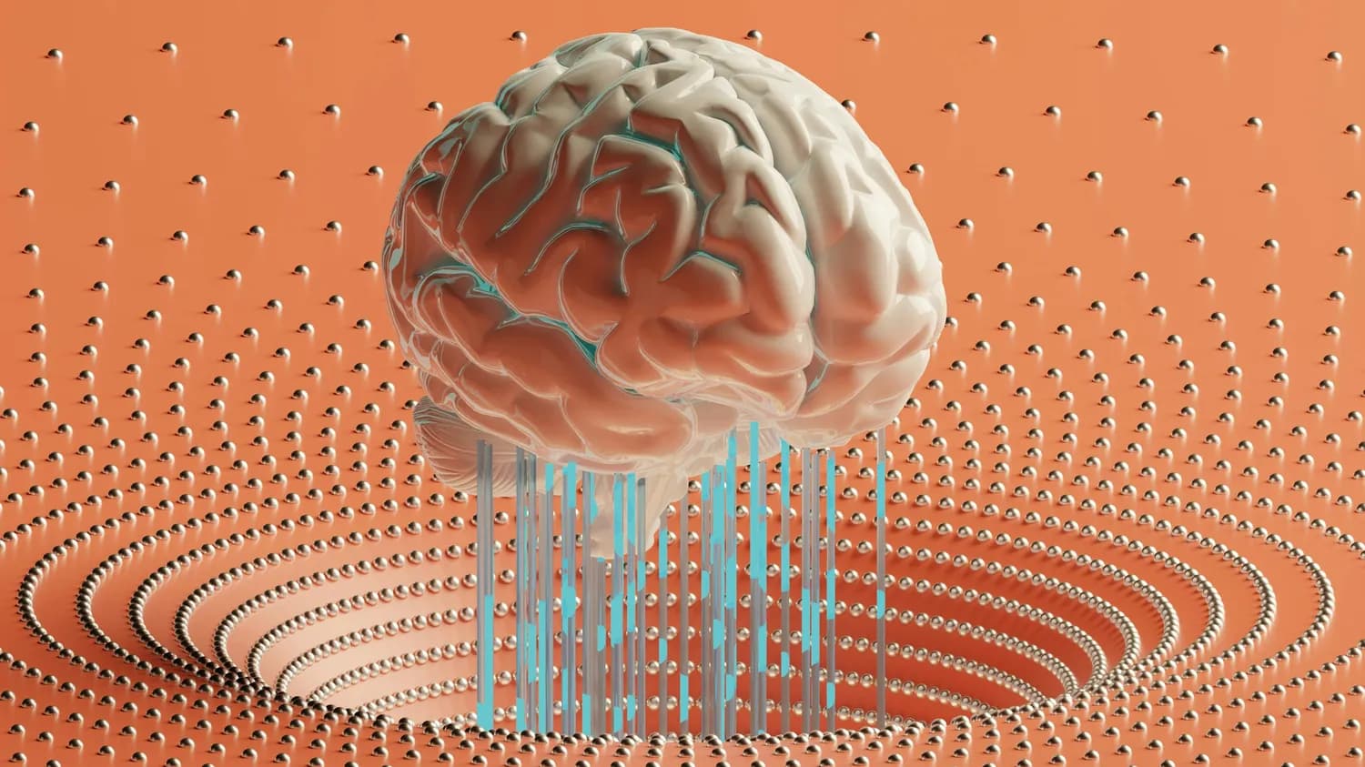 积极语言如何改变大脑：科学依据与实践指南