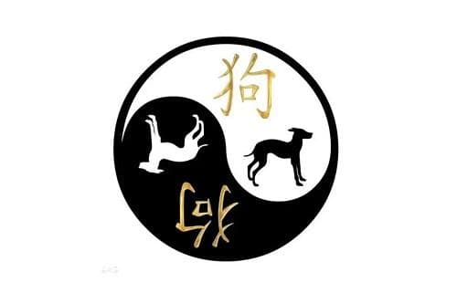 属狗的2024年有三喜 狗人2024龙年全年的运程和运势