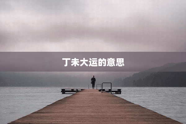 丁未大运的意思
