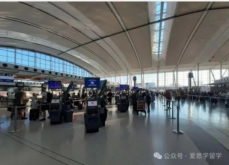 华人回国入境免税新规实施，携带这类常见“土特产”可能面临重罚