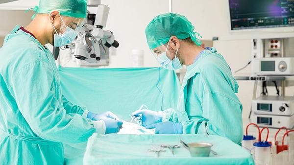 医生定制三餐食谱：科学减重的个性化方案