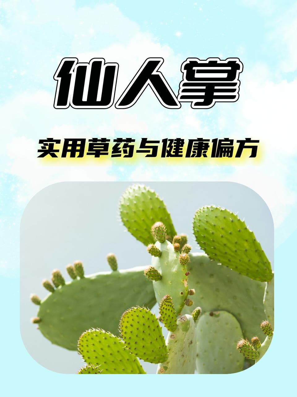 仙人掌：实用草药与健康偏方