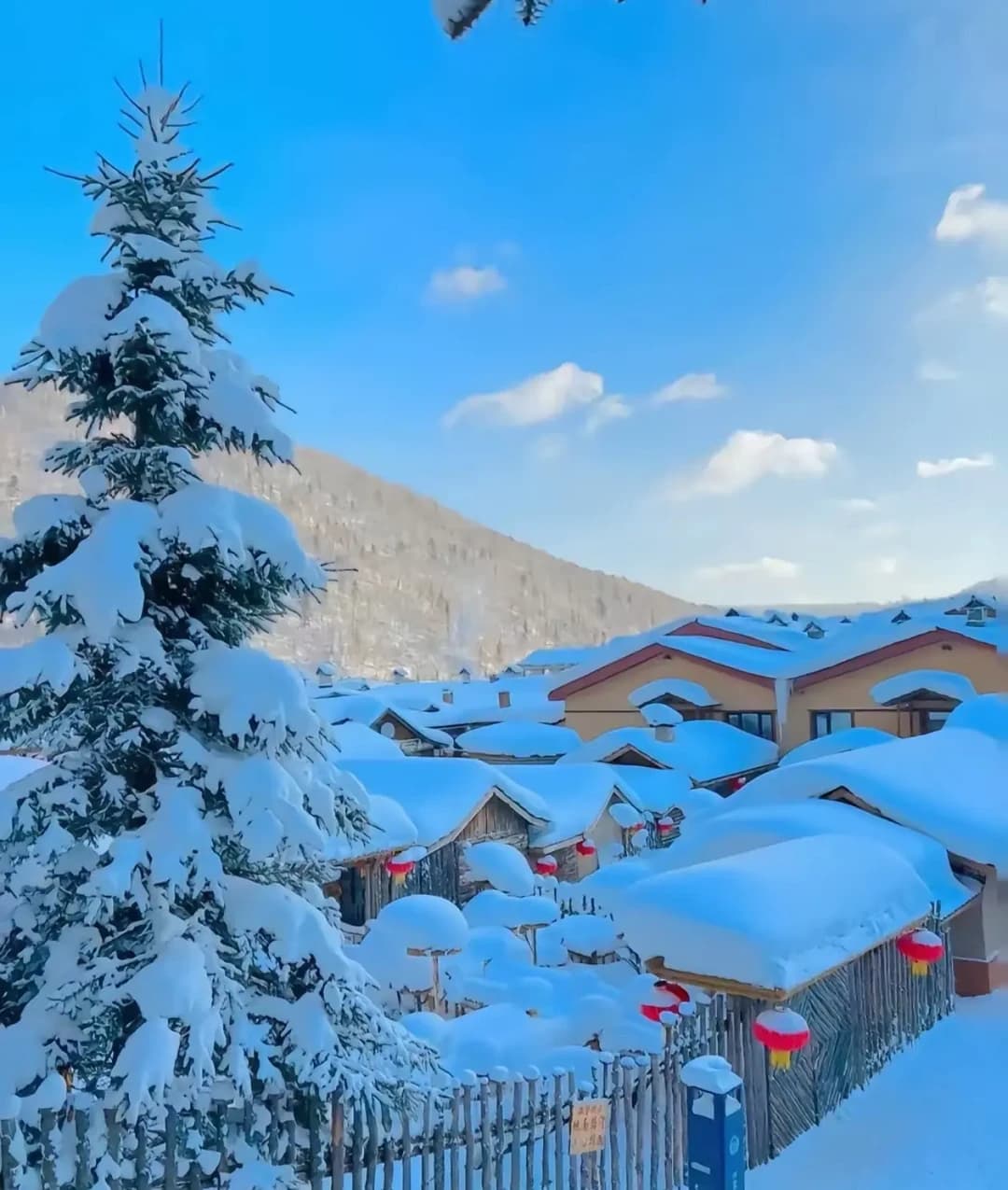 哈尔滨冰雪奇缘：这座城市为何让人心驰神往？