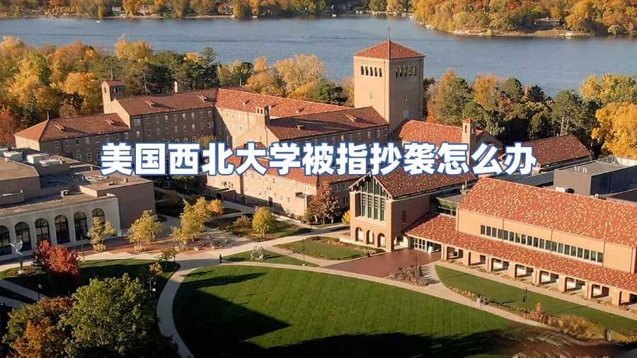 美国西北大学被指抄袭怎么办?如何应对学术不端指控