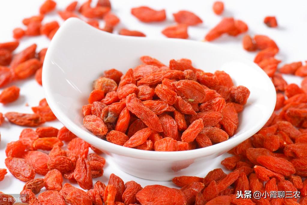 枸杞子的扦插（如何才能种出优质高产的枸杞？）