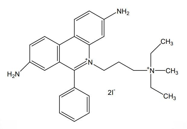 碘化丙啶（PI）在细胞生物学研究中的应用
