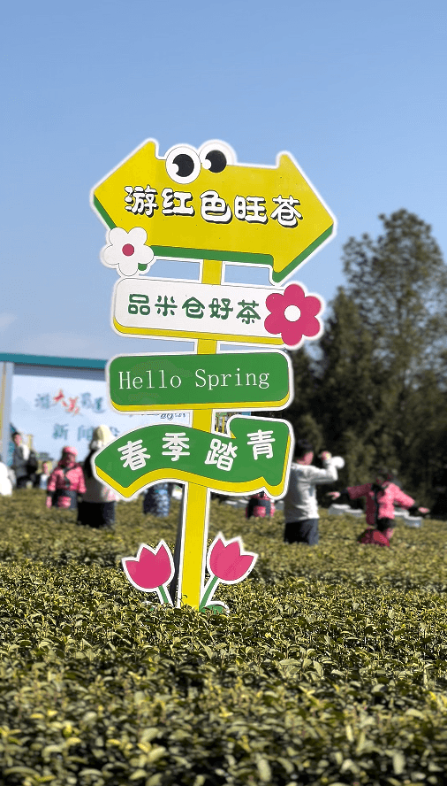 广元旺苍：茶香四溢的"汉唐茶乡"