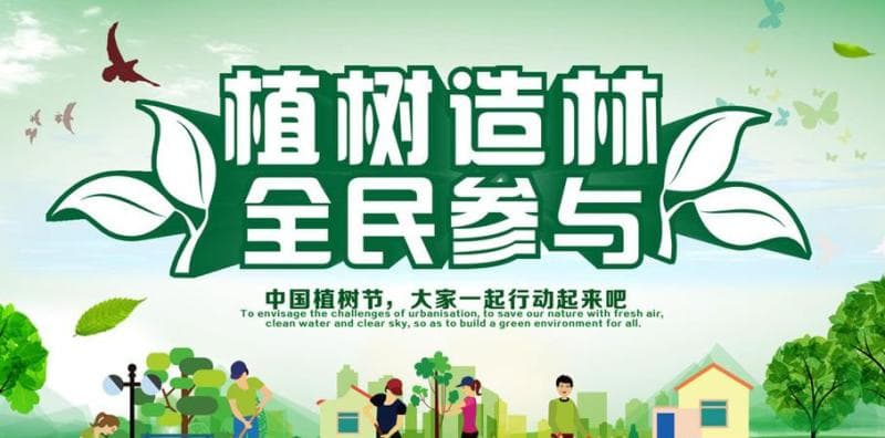 梦到植树造林的深层含义