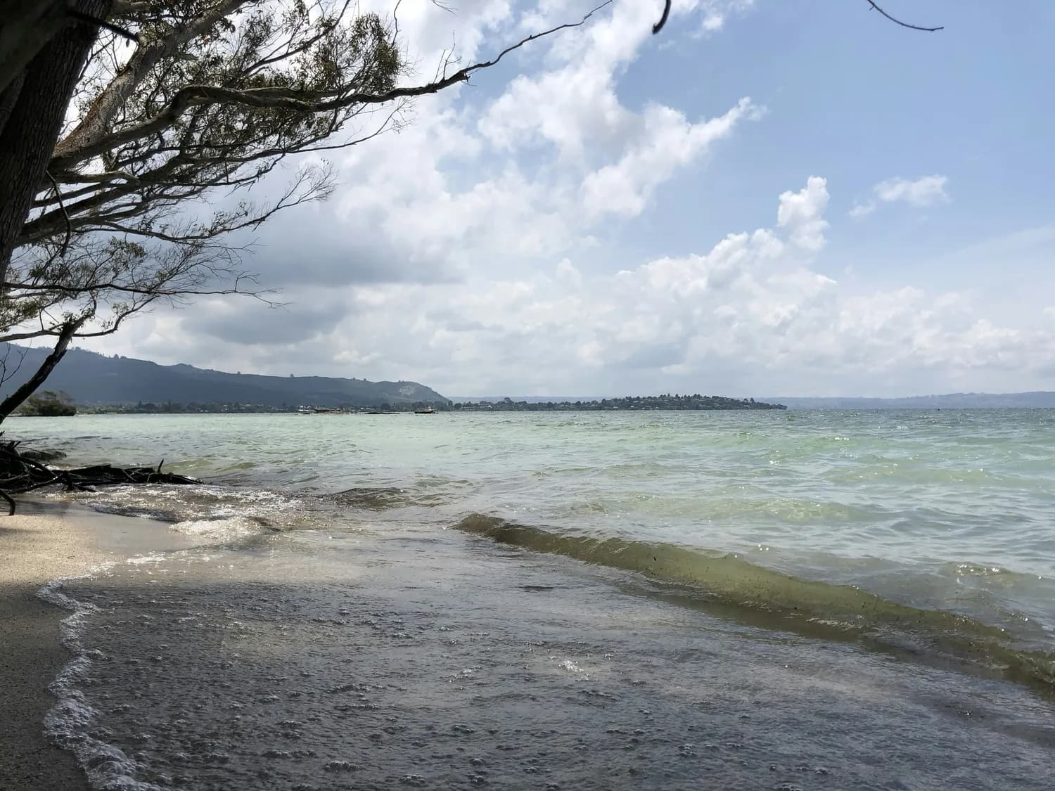 快速准确测总氮，便携检测仪助力环保监测