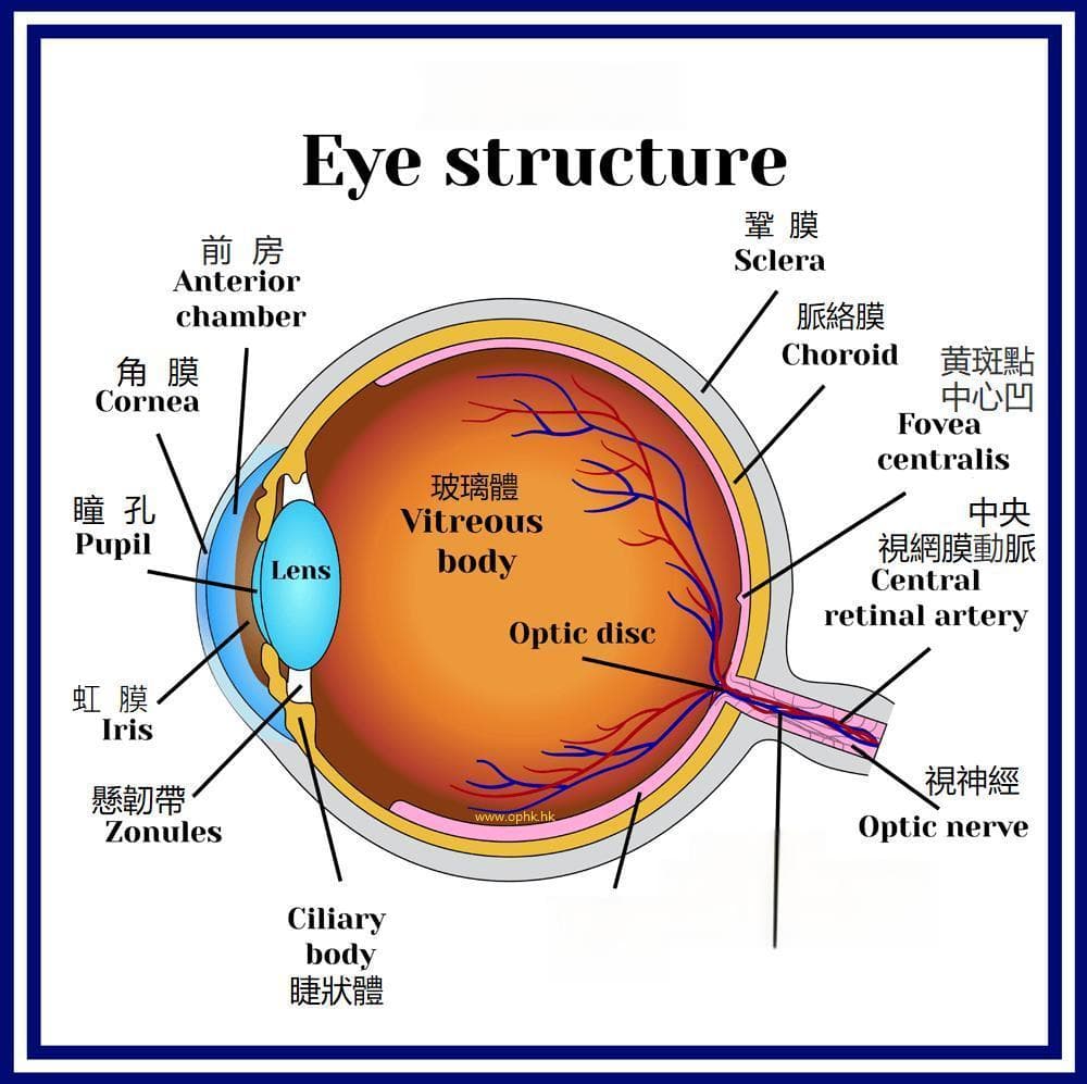 上海眼科医生：如何为患者设计和选择，适合的白内障多焦点晶体？