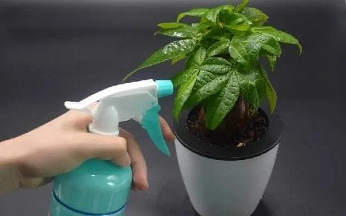 烟丝湿度怎么调整？