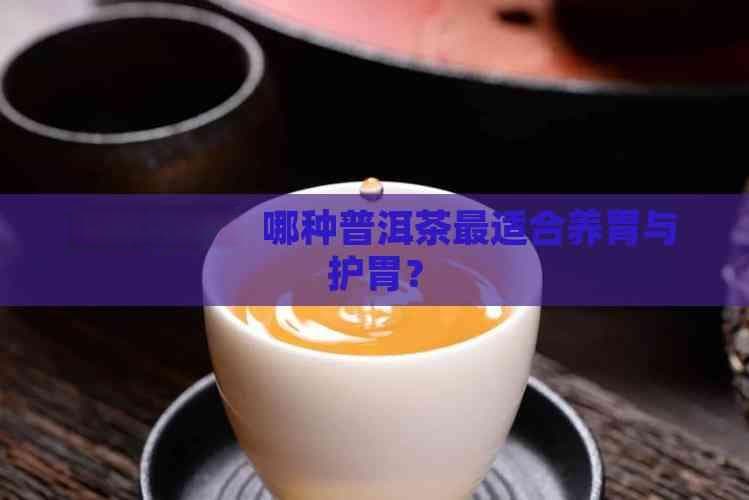 全面解析：哪种普洱茶最适合养胃与护胃？