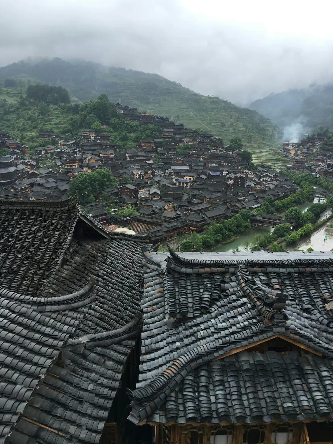 景邁山古茶園：芒景上下寨探秘