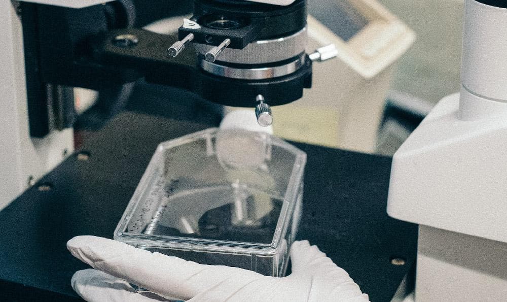 新课标科学探究四个要素