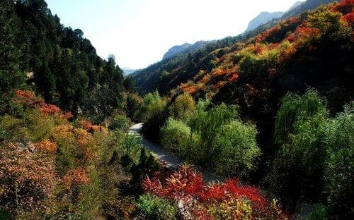 河北仙台山国家森林公园：太行绿宝石的自然人文之美