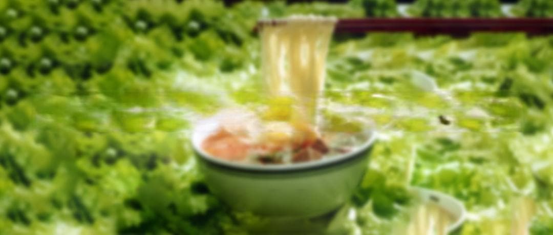 兰州牛肉拉面产业高质量发展三年行动方案发布