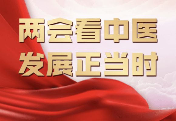 2025两会探寻中医魅力——御医传人黄玉和中医药传承路上的追光者